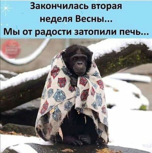 Закончилась вторая неделя Весны мы от радости затопили печь