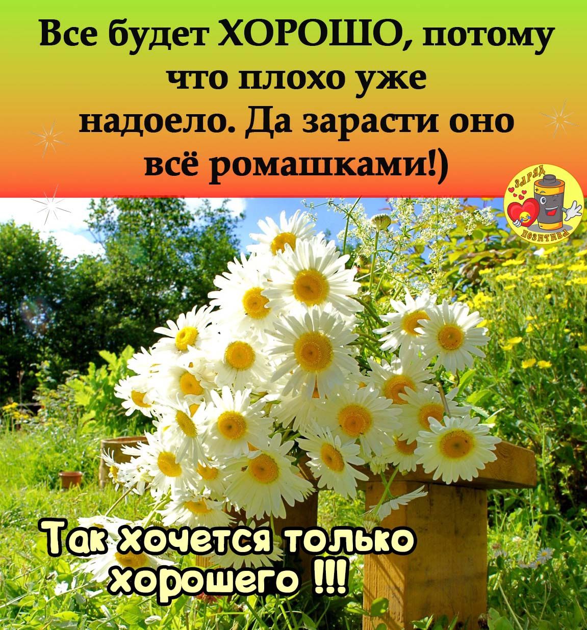 хорошего _