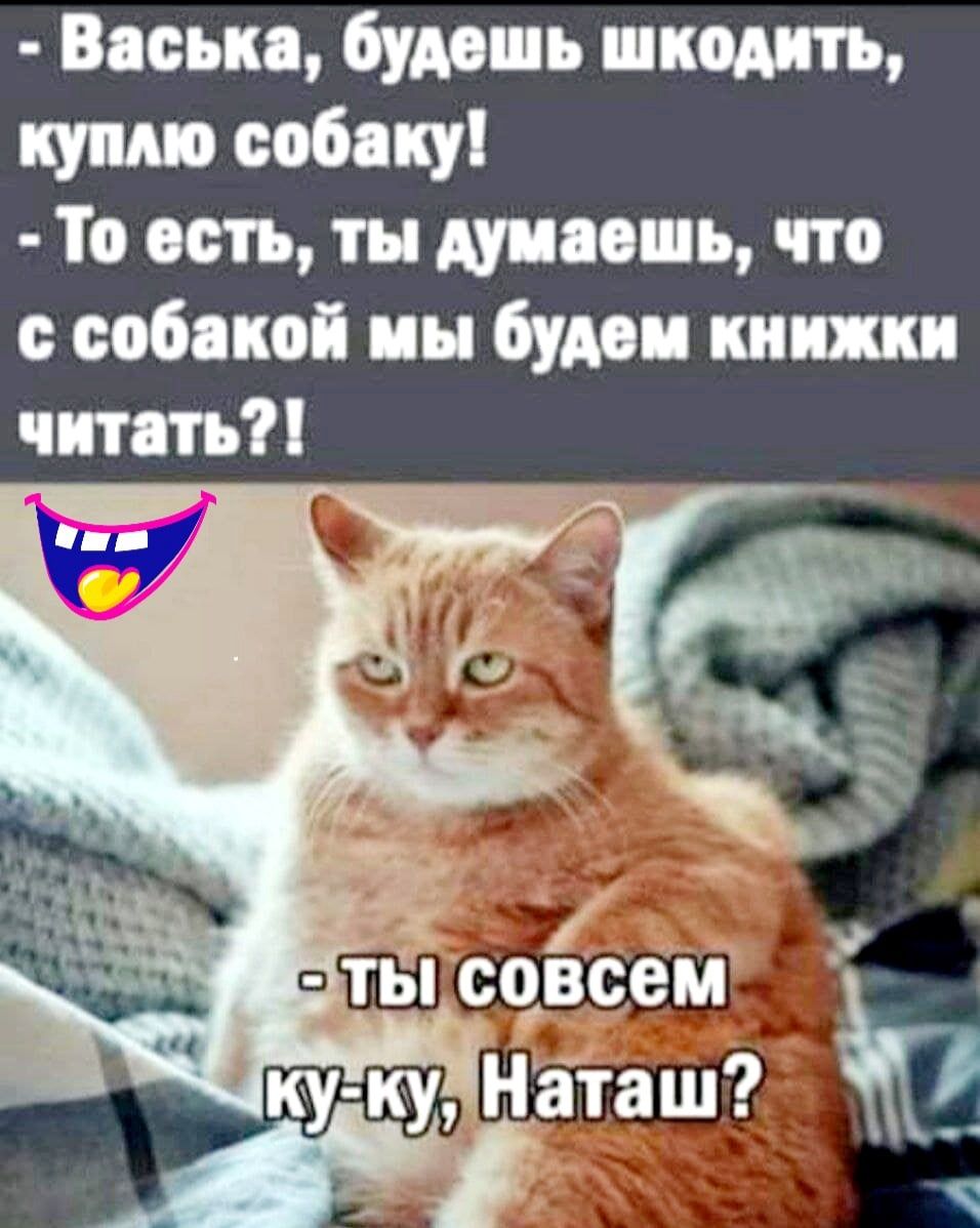 Васька будешь шкодкть купно собаку То ость ты думаешь что с собакой мы будем книжки