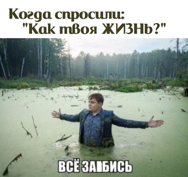 Коша спросили Как тВоя ЖИЗНЬ бізмви