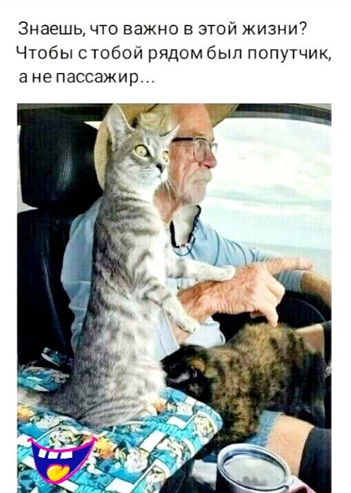 Знаешь что важно в этой жизни Чтобы стобой рядом был попутчик анепассажир