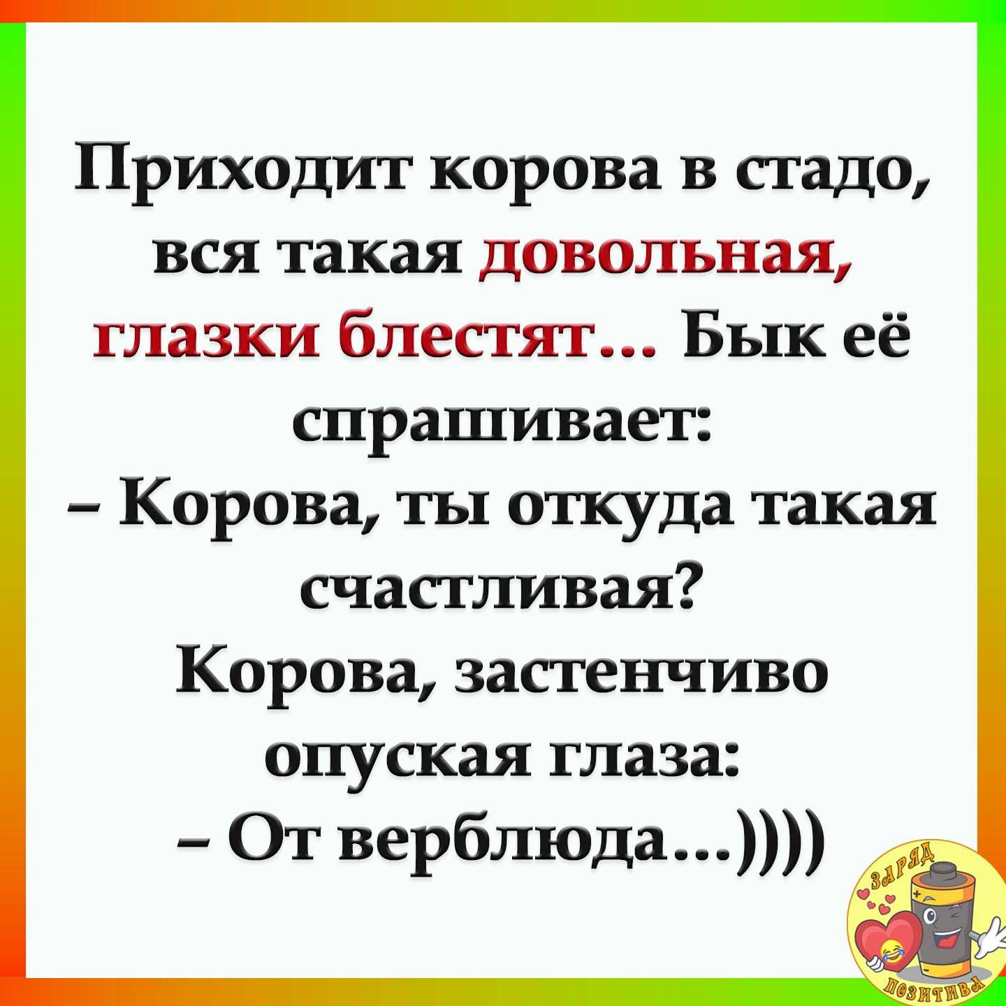 Приходит корова в стадо вся такая довольная глазки блестят Бык её спрашивает Корова ты откуда такая счастливая Корова застенчиво опуская глаза От верблюда ___