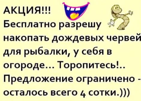 АКЦИЯ Бесплатно разрешу накопать дождевых червей для рыбалки у себя в огороде Торопитесь Предложение ограничено осталось всего сотки