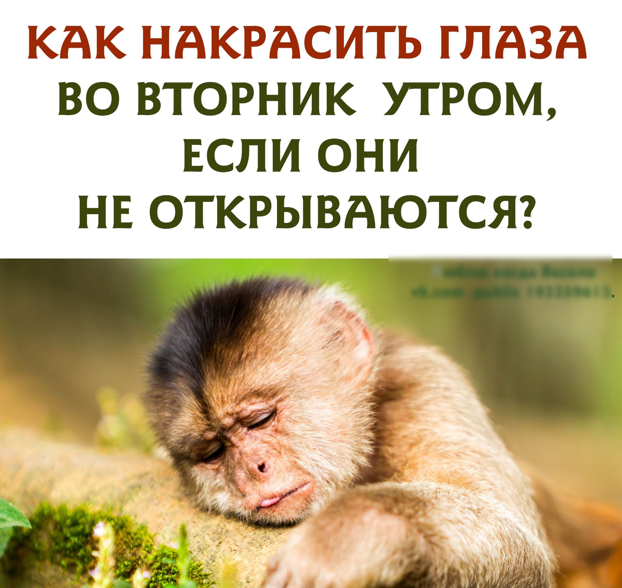 КАК НАКРАСИТЬ ГЛАЗА ВО ВТОРНИК УТРОМ ЕСЛИ ОНИ НЕ ОТКРЫВАЮТСЯ