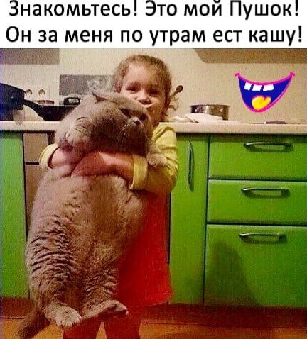 накомьтесь то мои ушок Он за меня по утрам ест кашу