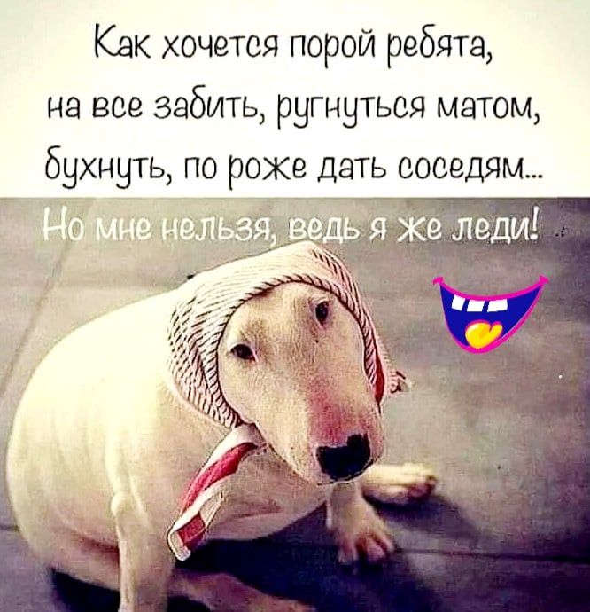 Как хочется порой ребята на все забить ругнутьоя матом бухнуть по роке дать соседям
