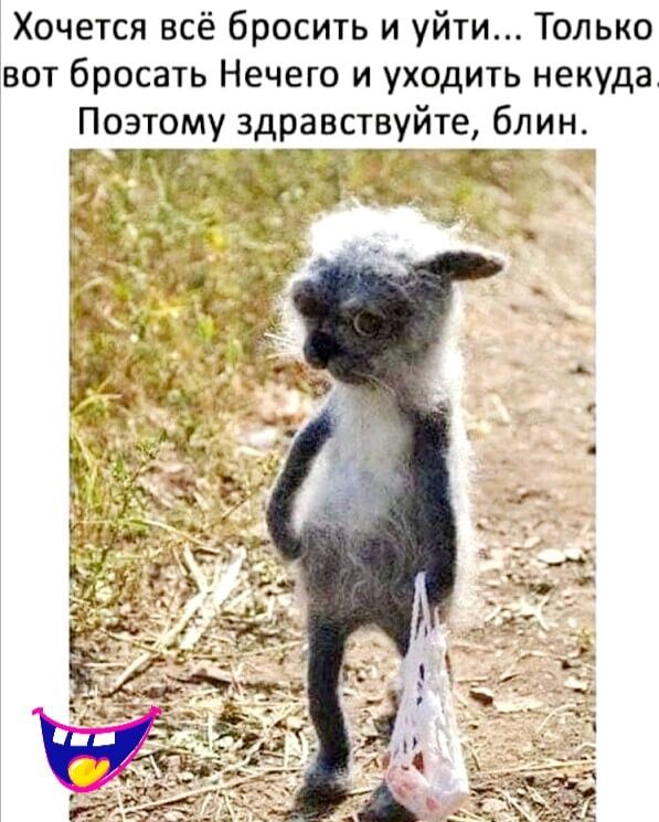 Хочется всё бросить и уйти Только вот бросать Нечего и уходить некуда Поэтому здравствуйте блин да г _ и _