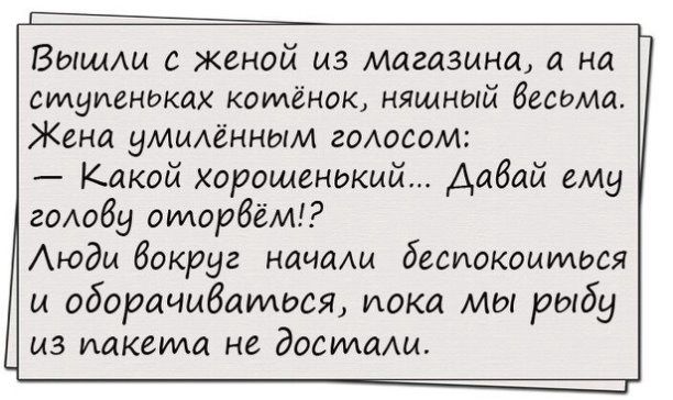 1 Вы с женой из Магазина на ступеньках котёнок нящный весьма Жена уммАённым голосом Какой хороша ший Аабай ему гОАобу оторбём Аюдц вокруг начаш бесиокомться и оборачибауидся пока мы рыбу из пакета не достищ
