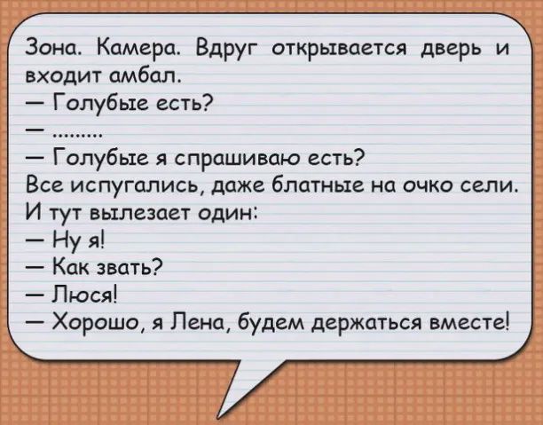 Зона Камера Вдруг открывается дверь и входит амбал Голубые есть Голубые я спрашиваю есть Все испугались даже блатные на очко сели И тут вылезает один Ну я Как звать Люся Хорошо я Лена будем держаться вместе