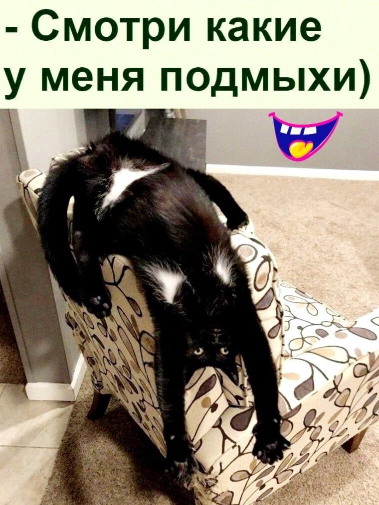 Смотри какие у меня подмыхи