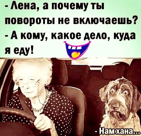 Аеиа а почему ты повороты не включаешь А кому какое дело куда эш _ Н