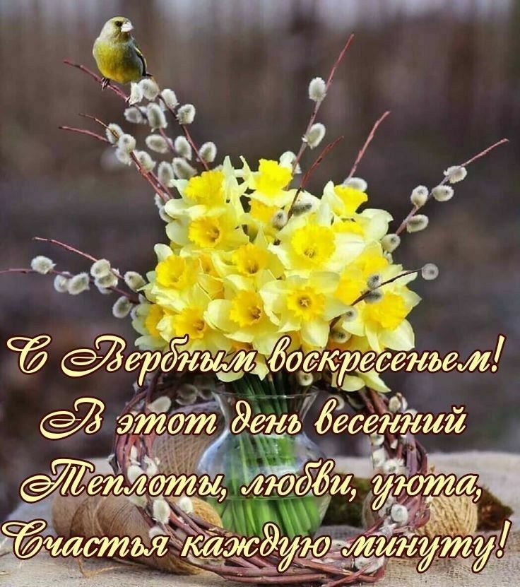 Оп 93 г д йо сей _ЁИОЁЁЁЁЁЙЪЗЛ _ к этврт3дет _