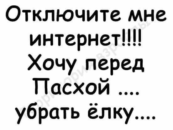 Отключите мне интернет Хочу перед Пасхой убрать ёлку