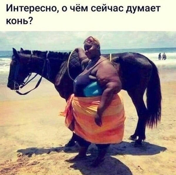 Интересно о чём сейчас думает конь
