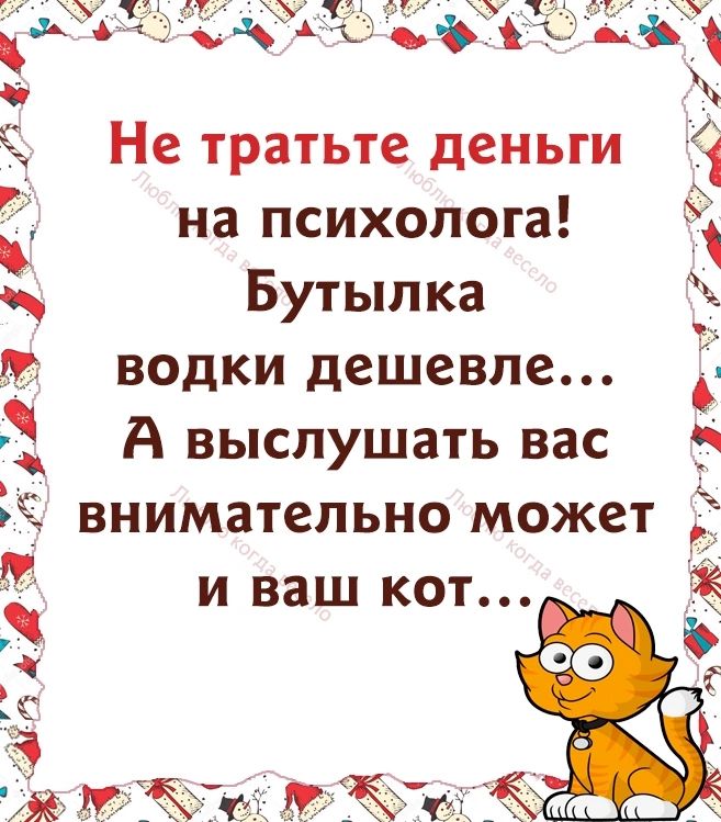 Не тратьте деньги 1 на психолога Бутылка водки дешевле А выслушать вас 5 внимательно может и ваш кот