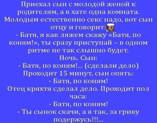Шиншинтж щж анти пьяцца
