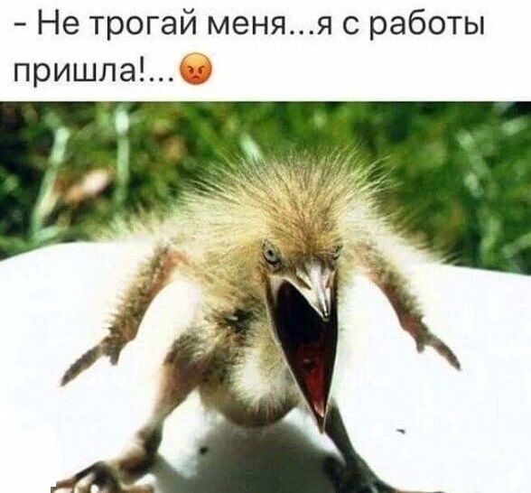 Не трогай меняя с работы пришла
