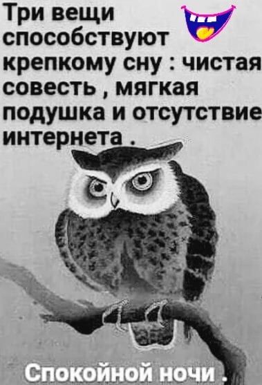 Три вещи способствуют крепкому сну чистая совесть мягкая подушка и отсутствие интернета