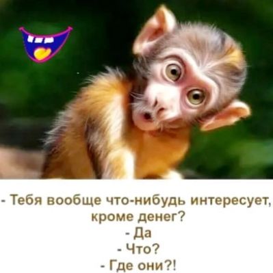 от ЧТОППОдДЪ рз ш мг _ чт _ Уш он