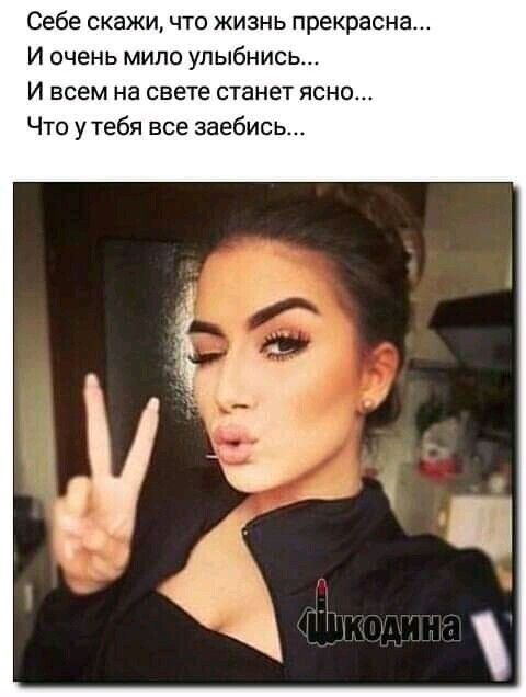Себе скажи что жизнь прекрасна И очень мило улыбнись И всем на свете станет ясно Ч 0 утебя все заебись