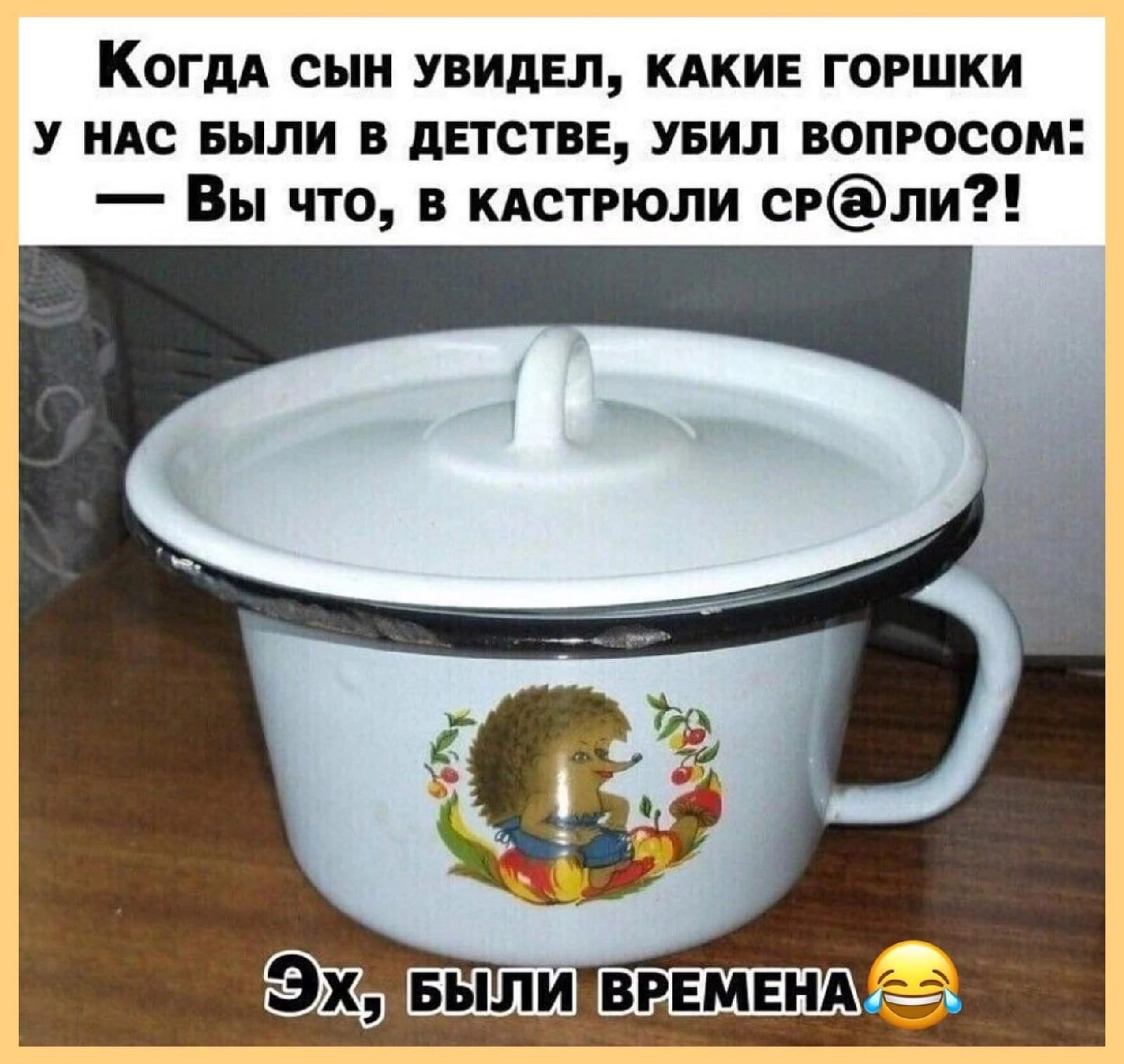 КогдА сын увидел кдкив горшки У НАс БЫЛИ в детстве увил вопросом Вы что в кдстрюли срли
