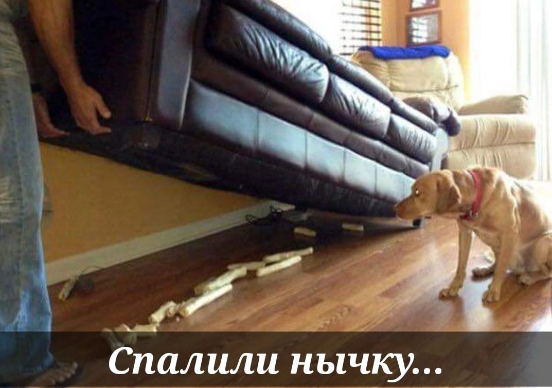 рц Спалили нычку