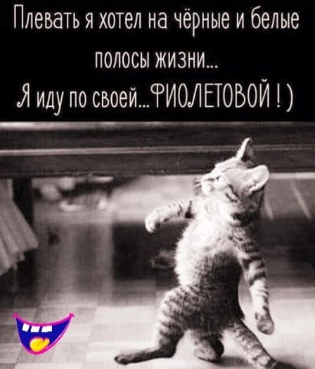 Плевать я хотел на чёрные и белые полосы жизни Я иду по своейИОЛЕТОБОЙ