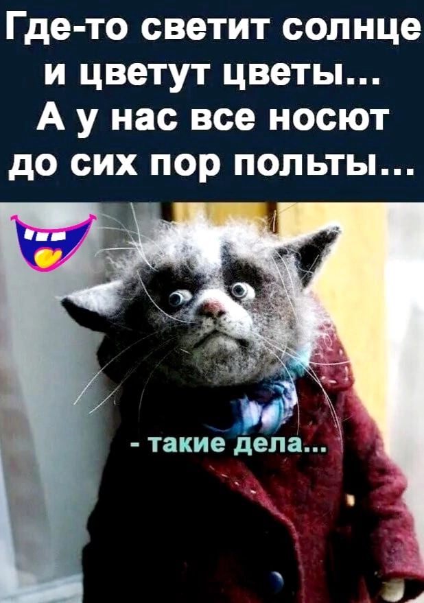 Где то светит солнце и цветут цветы А у нас все носют до сих пор польты