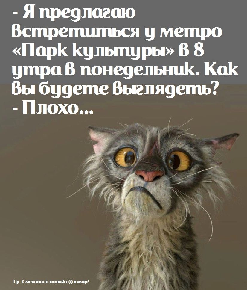 Как общаться с мужчиной Львом: мнение астрологов