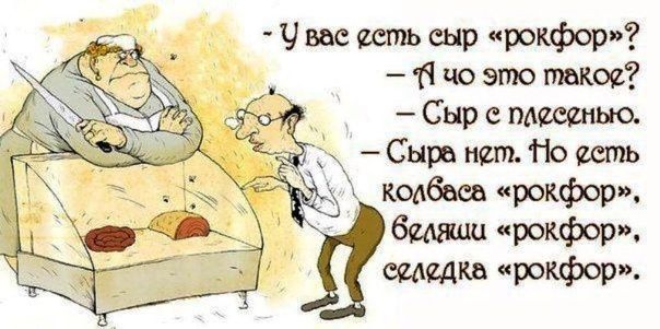 Чт сыр шифер 11 но это такои Сыр пдшпыо Сыра иш Но шпь колбе Рекфор бампа прощю щадил шифер