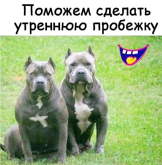 Поможем сделать утреннюю пробежку
