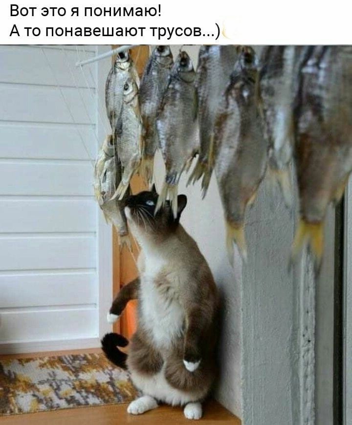Вот это я понимаю А то понавешают трусов
