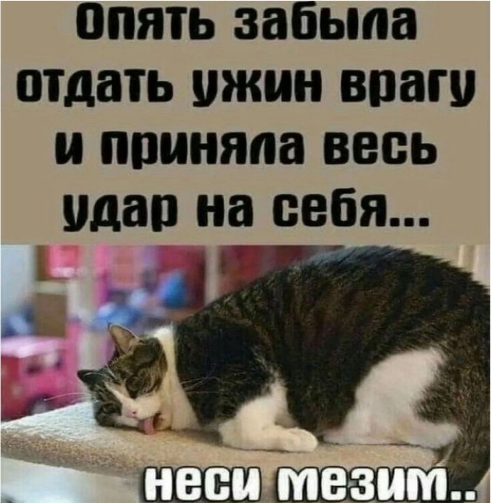 ПЯТЬ забыла ПТДПТЬ Ж ВПВП приняла ВЕСЬ удар на себя