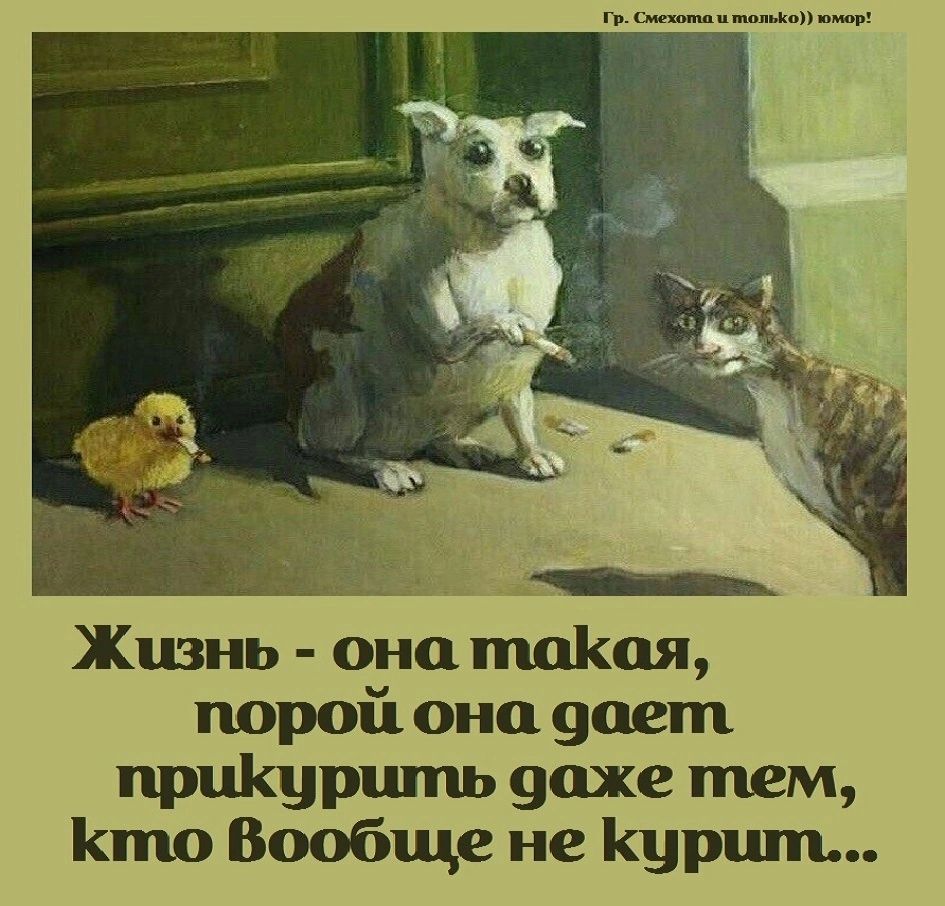 _ Жизнь оно пшКая порой она дает прціщршпь 9ахе тем Кто Вообще не Курит