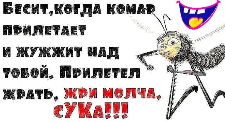 пси ткогдд кои приливн и жужжит пд мый ивилннп жить мышам УШБППП чфвв