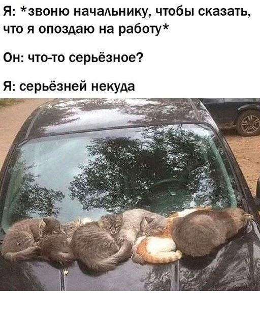 Я звоню начальнику чтобы сказать что я опоздаю на работу Он чтото серьёзное Я серьёзней некуда