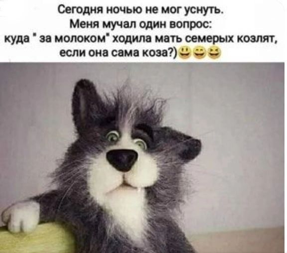 Сегодня иочью не мог уснуть Мени мучал один вопрос КУДВ за МОЛОКО ХОДИЛЛ МБТЬ 0212 КОМП если она сама коза _ ч