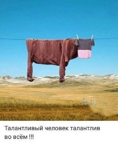 Талантливый человек талантпив во всём