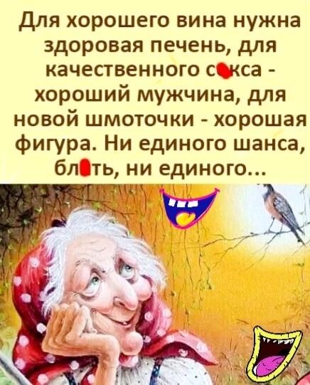 для хорошего вина нужна здоровая печень для качественного с кса хороший мужчина для новой шмоточки хорошая фигура Ни единого шанса бл гть ни единого