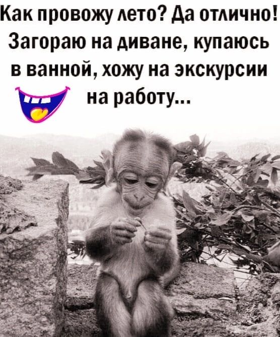Как провожу Аето Аа отлично Загораю на диване купаюсь в ванной хожу на экскурсии на работу