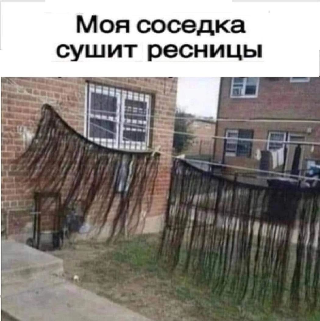 Моя соседка сушит ресницы