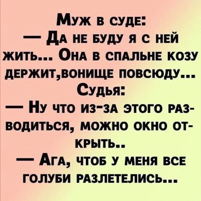 Муж в суде дА не БУДУ я с нвй жить Он в спдльнв козу дЕРЖИТВОНИЩЕ повсюду Судья НУ что из зд этого из водиться можно окно от крыть АГА чтов у меня все голуви мзлвтвпись