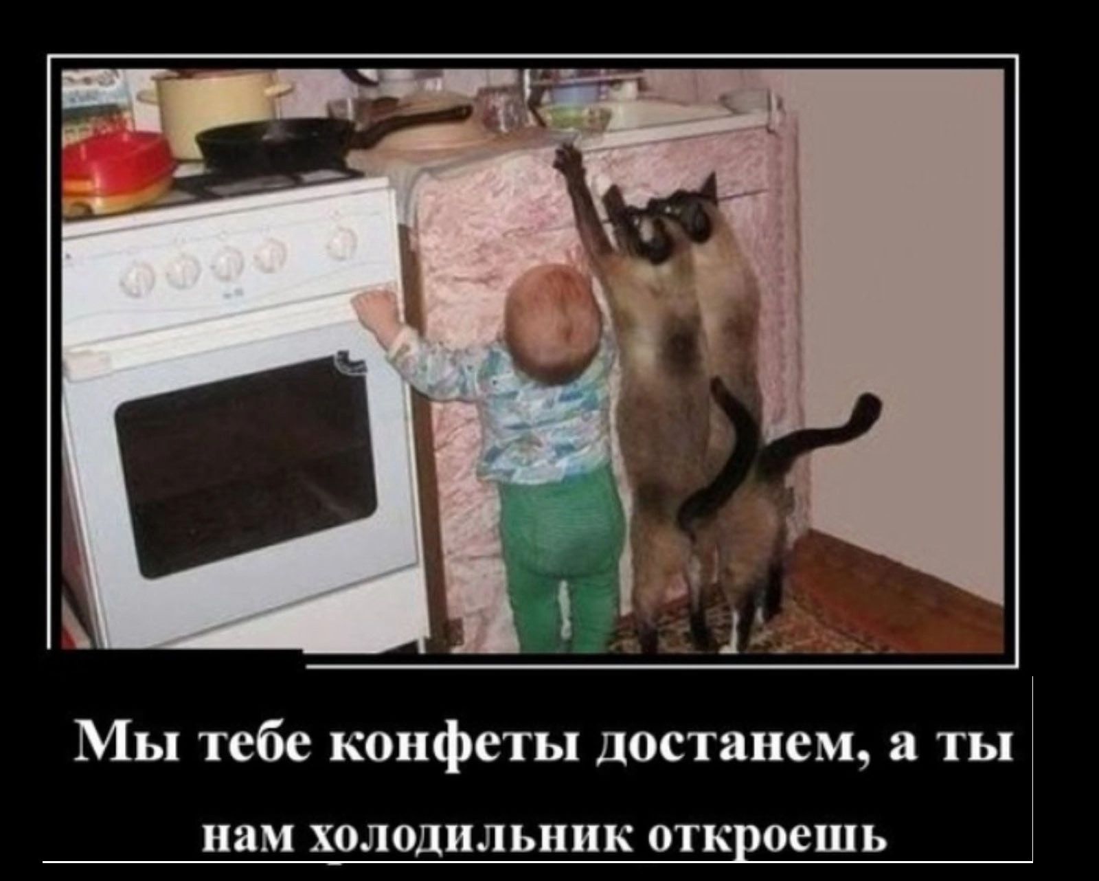 Мы тебе конфеты достанем ты нам холодильник от ешь