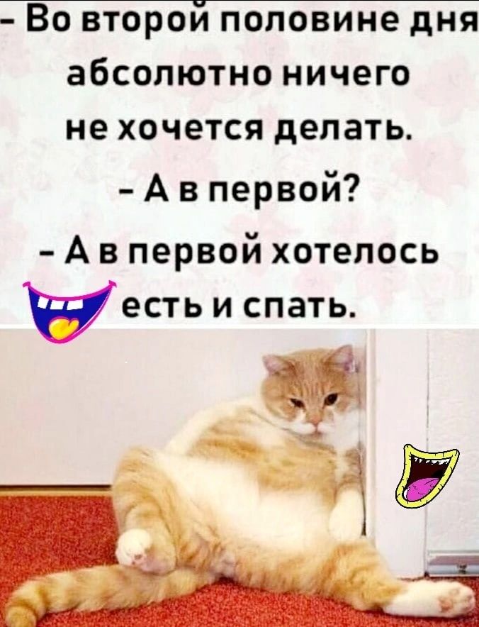 ВО ВТОРОИ ПОПОВИНЁ дня абсолютно НИЧЕГО не хочется делать А в первой А в первой хотелось весть и спать