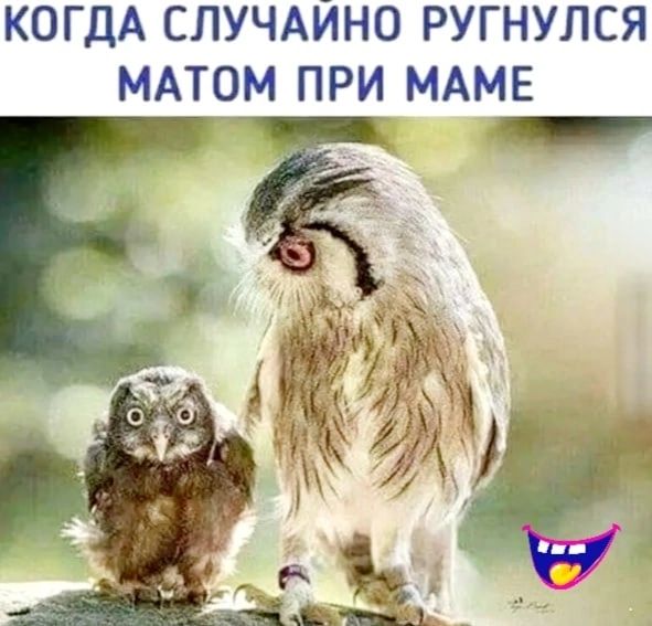 КОГДА СЛУЧАЙНО РУГНУЛСЯ МАТОМ ПРИ МАМЕ