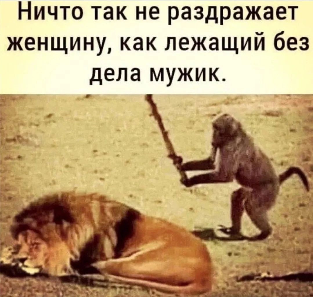 Ничто так не раздражает женщину как лежащий без дела мужик