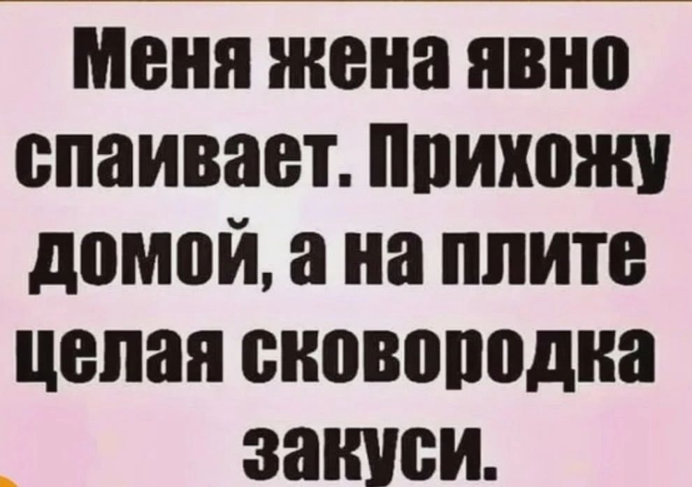 Меня жена явно спаивает виконт домой а на плите целая сиовоподна закиси