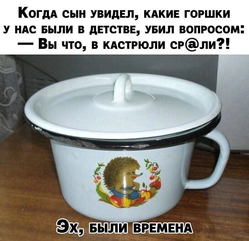 КогдА сын увидел кдки горшки у ндс Были двтствв увил вопросом Вы что в кдстрюли сгли