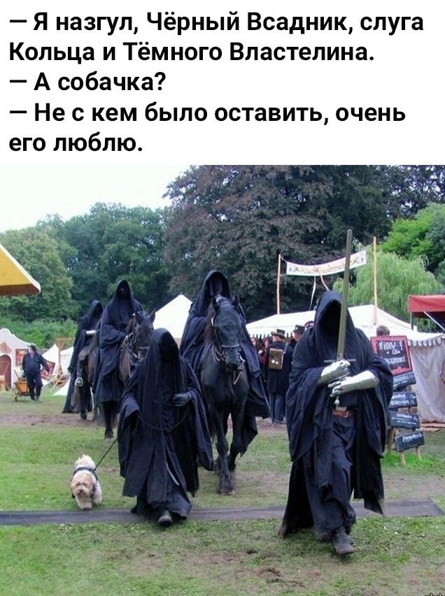 Я назгул Чёрный Всадник слуга Кольца и Тёмного Властелина А собачка Не с кем было оставить очень его люблю