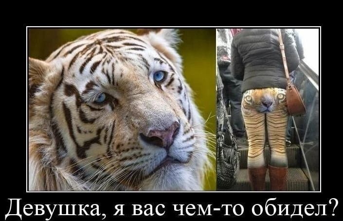 х Девушка я вас чем то обидел